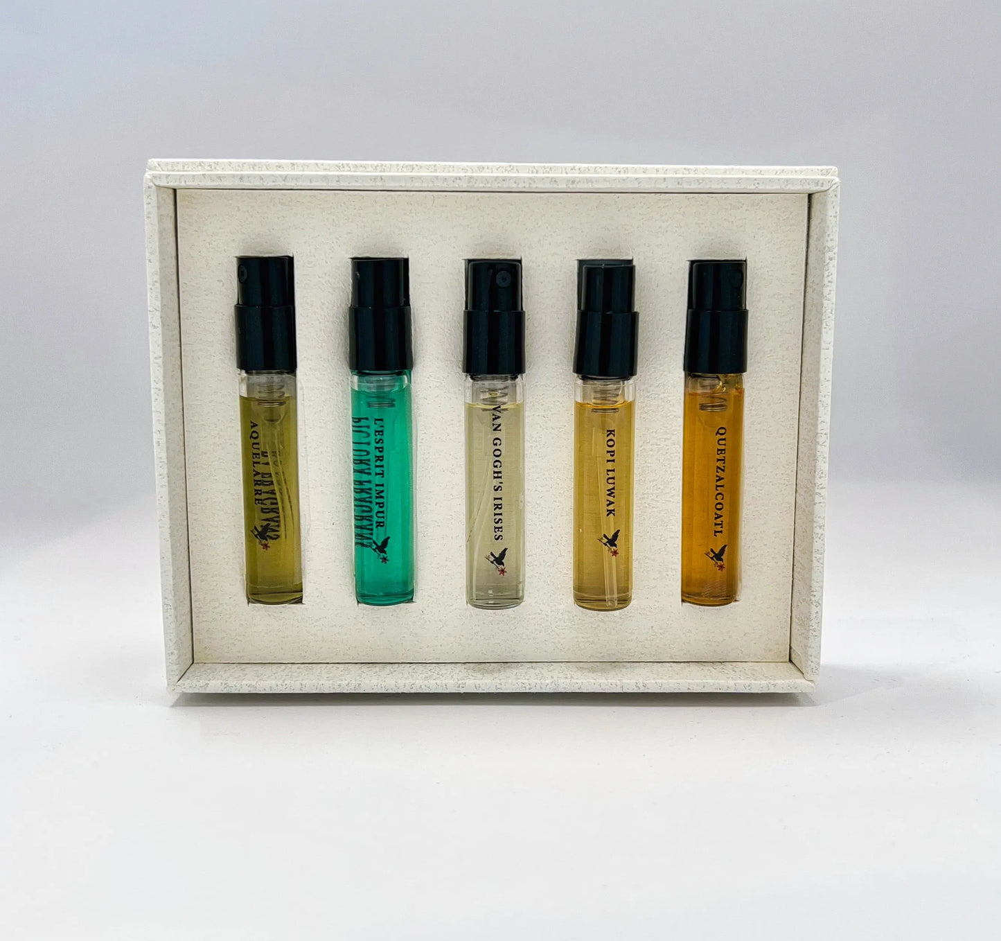 Discovery Set Pictura Fragrans