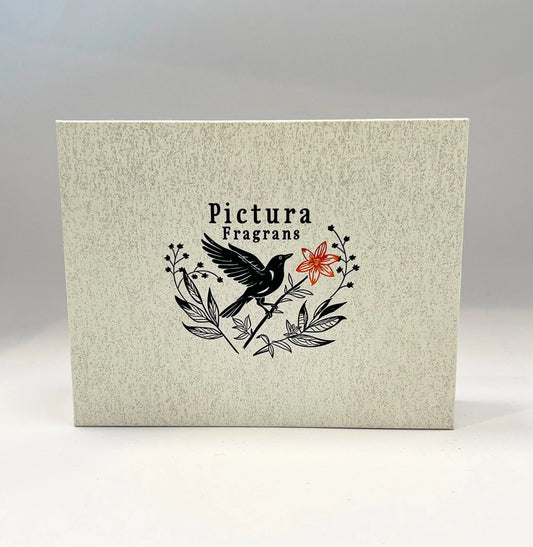 Discovery Set Pictura Fragrans