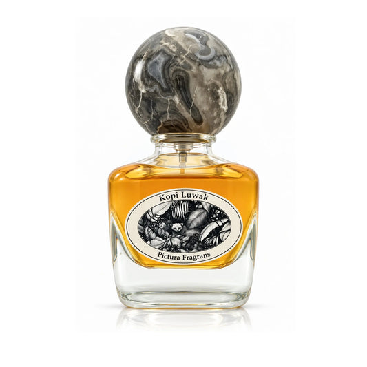 Kopi Luwak Pictura Fragrans